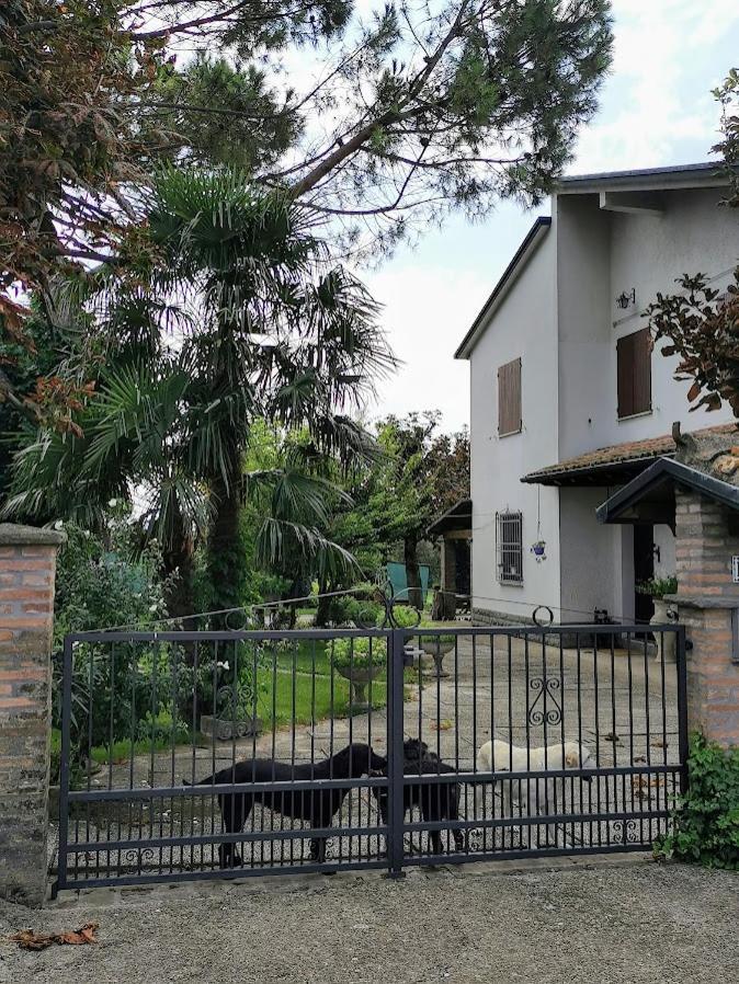 Apartmán La Casa Di Gim Lugo  Exteriér fotografie