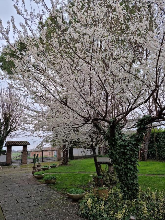 Apartmán La Casa Di Gim Lugo  Exteriér fotografie