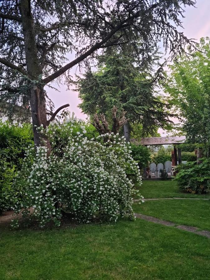 Apartmán La Casa Di Gim Lugo  Exteriér fotografie